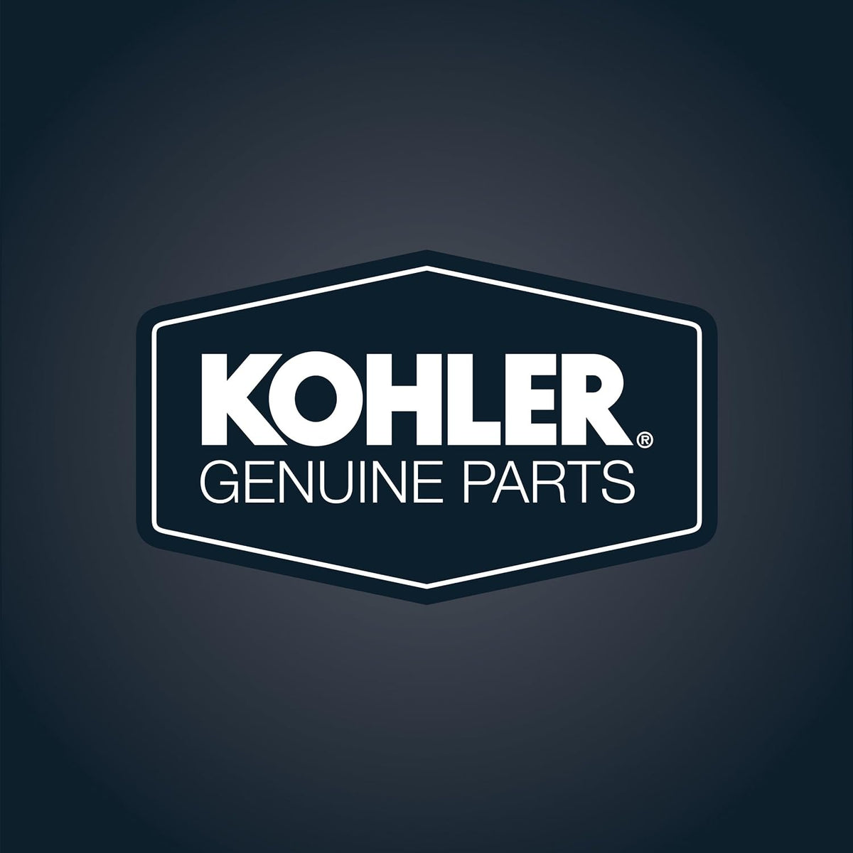 KOHLER Genuine Part GP1059291 Canister Seal — alternate product view