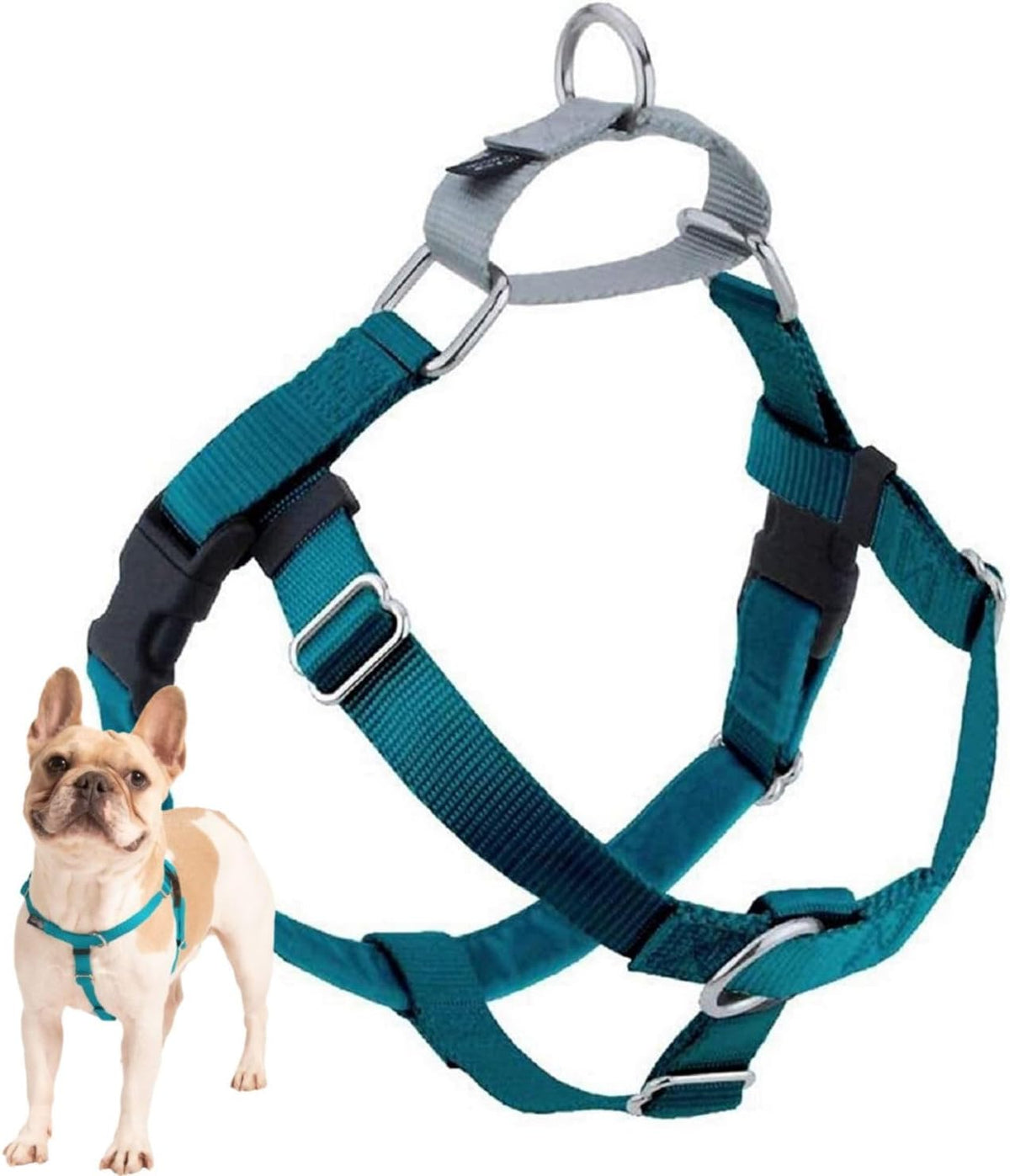 2 Hounds Design Freedom No Pull Dog Harness, 1 Inch Large, Teal — product view