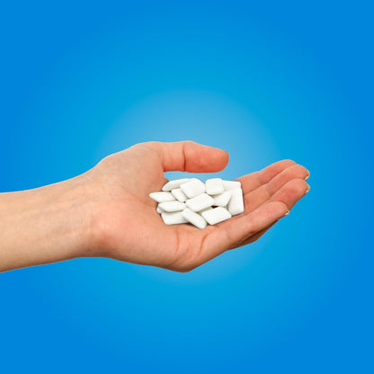 PUR Gum Peppermint Xylitol Chewing Gum 165 Count - view 3