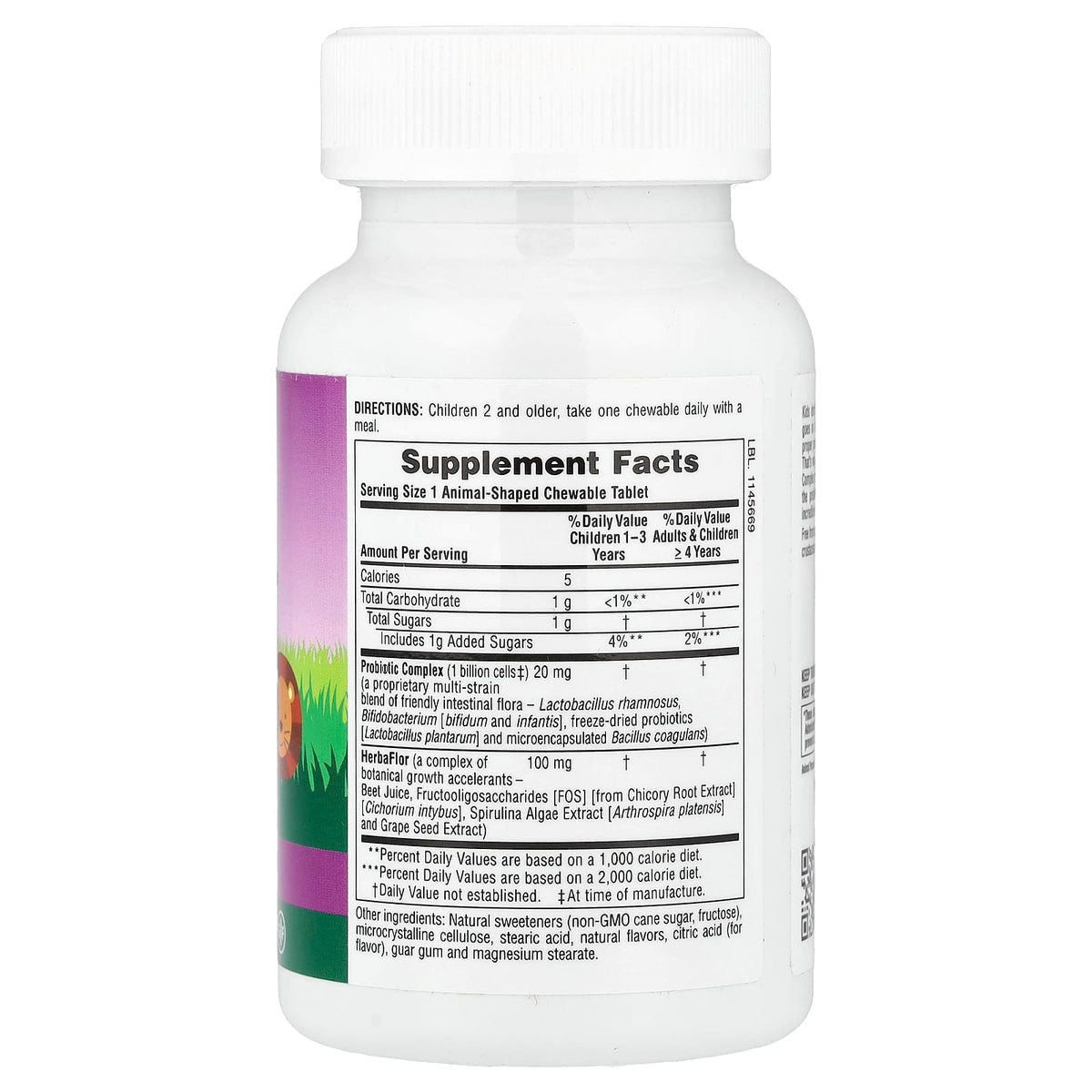 NaturesPlus Animal Parade AcidophiKidz Chewable Probiotic, Berry, 90 Tablets - view 2