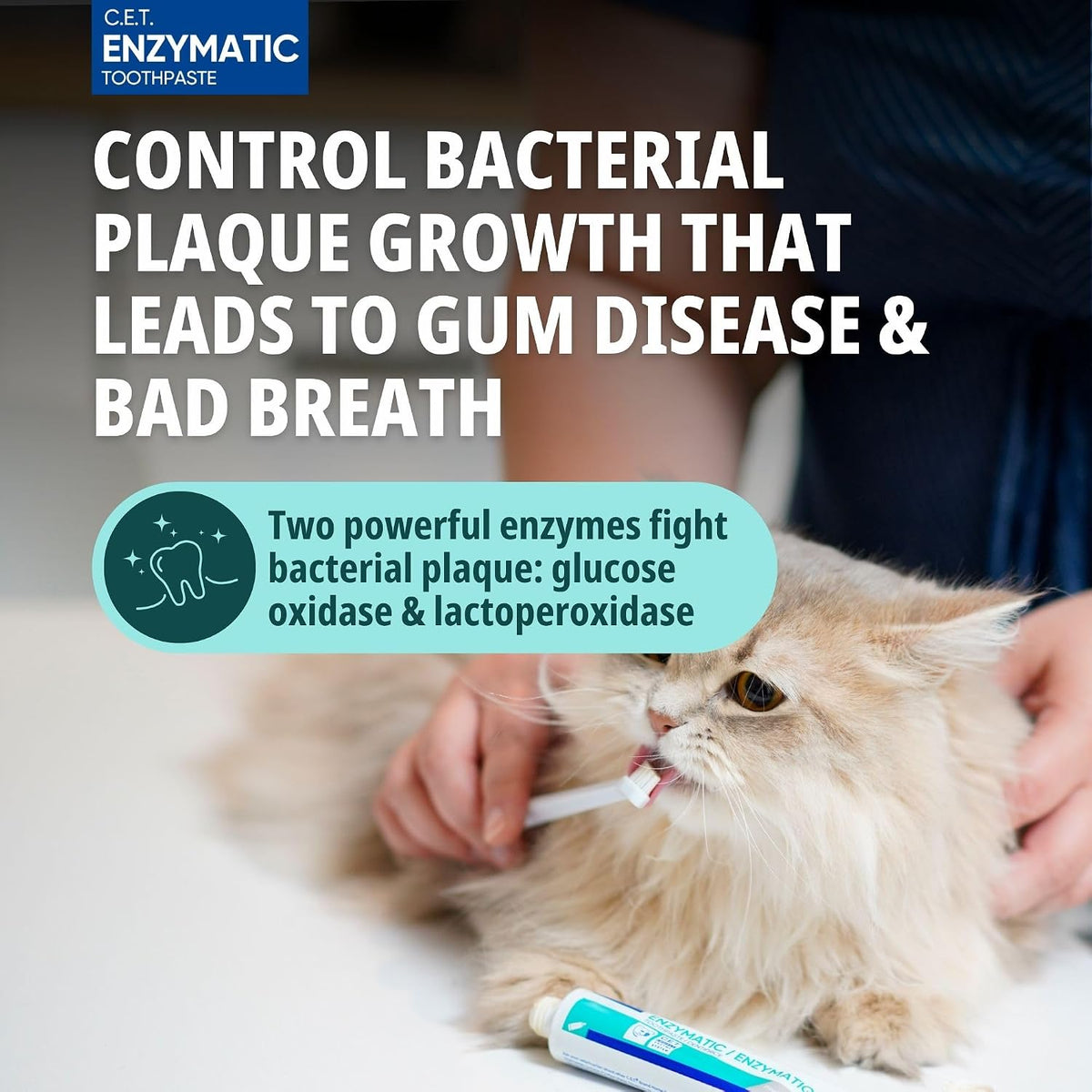 Virbac C.E.T. Oral Hygiene Kit for Dogs and Cats, Poultry Flavour - view 3