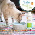 Oxyfresh Premium Pet Dental Care Water Additive for Cats and Dogs, No Brushing