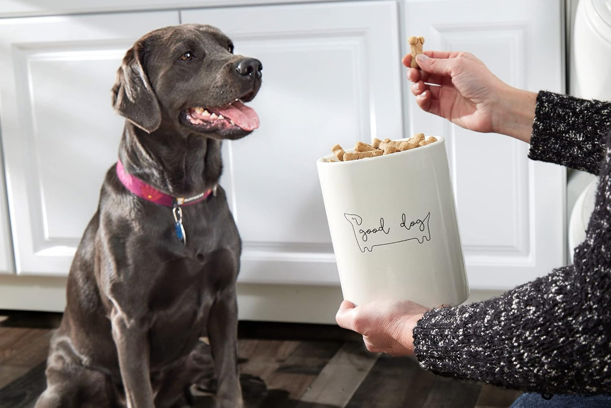 Pearhead Good Dog Ceramic Treat Jar with Wooden Lid - view 5