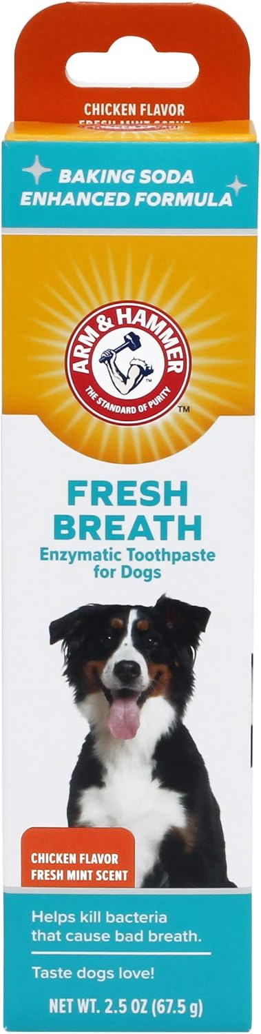 Arm & Hammer Fresh Breath Enzymatic Dog Toothpaste, Chicken, 67.5 g (2.4 oz) — product view