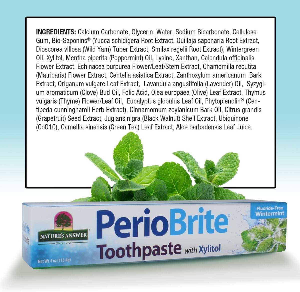 Nature's Answer PerioBrite Natural Toothpaste Wintermint 4 oz - view 5