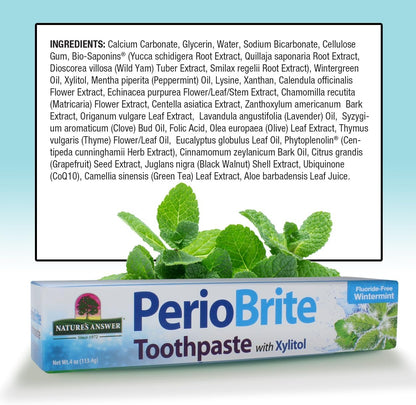 Nature's Answer PerioBrite Natural Toothpaste Wintermint 4 oz - view 5