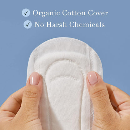 Rael Organic Cotton Cover Incontinence Liners for Women, Long, 72 Count - view 3