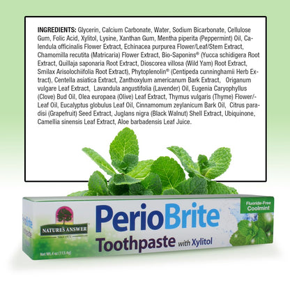 Nature's Answer PerioBrite Natural Toothpaste, Cool Mint, 4 oz, Pack of 2 - view 3