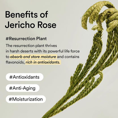 Abib Collagen Eye Creme Jericho Rose Tube - view 6