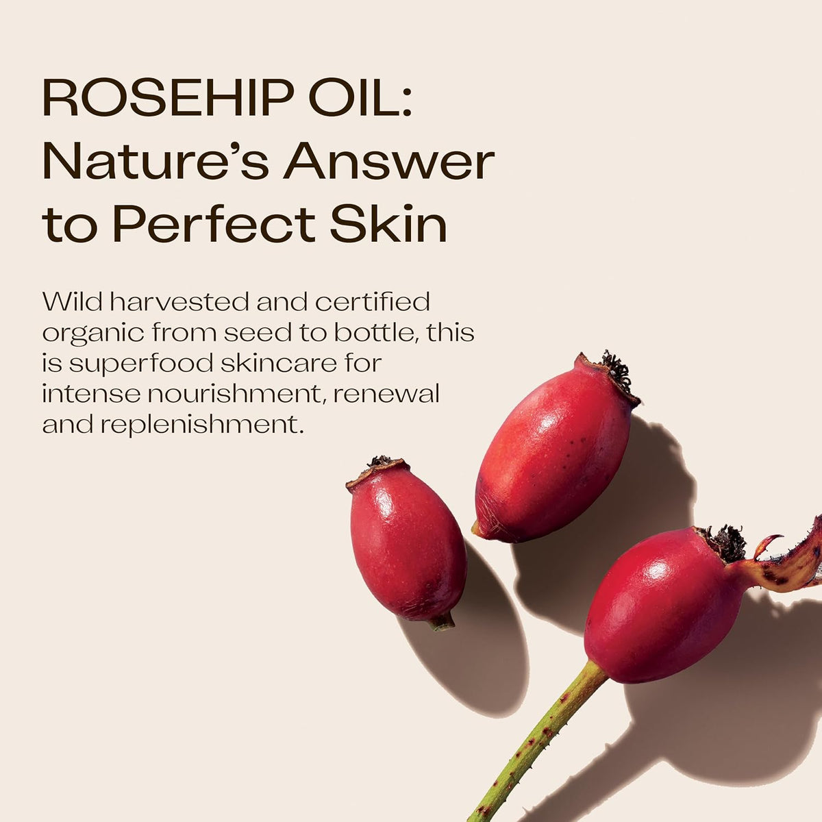Trilogy Certified Organic Rosehip Oil 0.68 fl oz - view 5