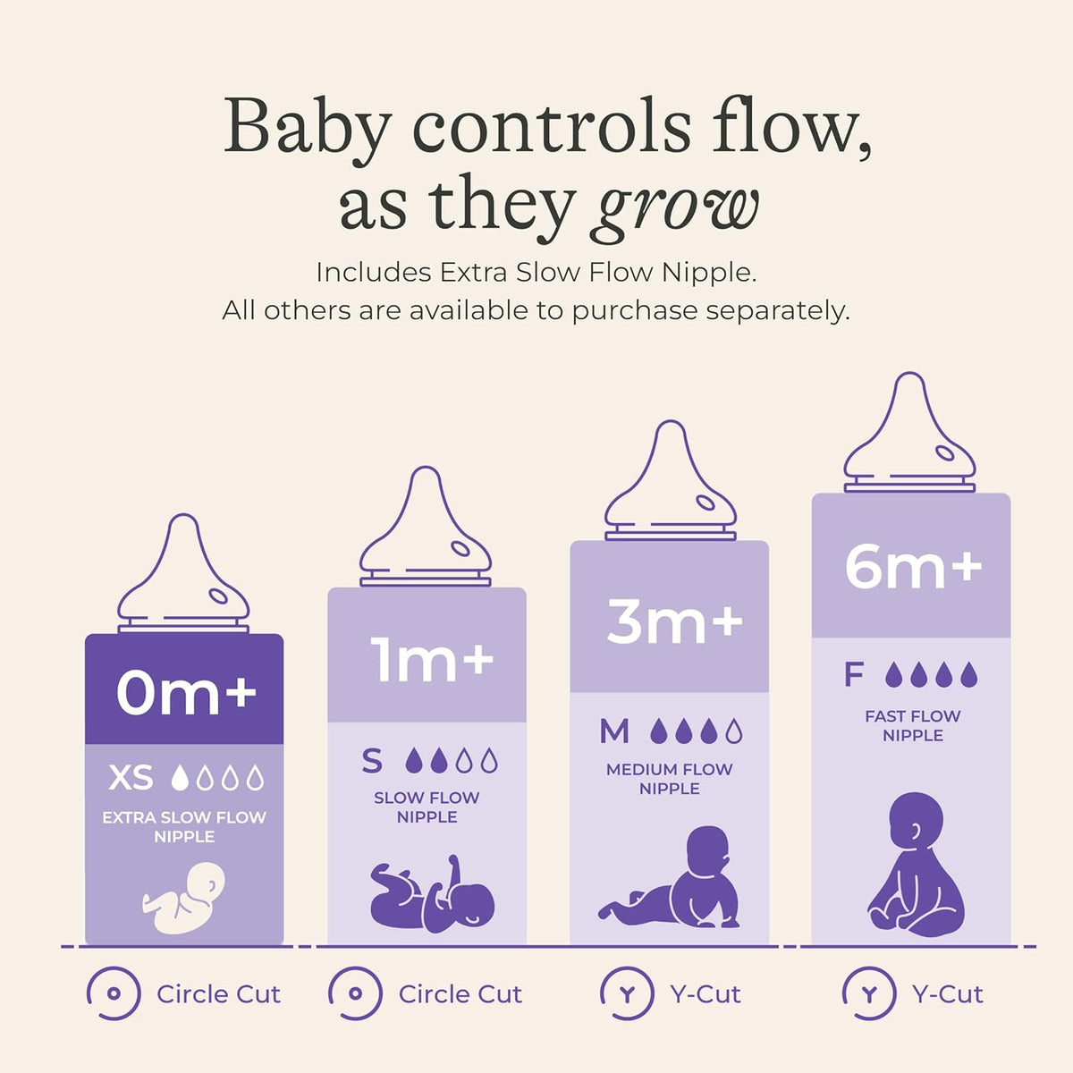 Lansinoh Anti-Colic Glass Baby Bottles, 5 oz (150 ml), 4 Count, Purple Collar - view 4