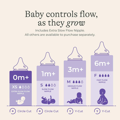 Lansinoh Anti-Colic Glass Baby Bottles, 5 oz (150 ml), 4 Count, Purple Collar - view 4