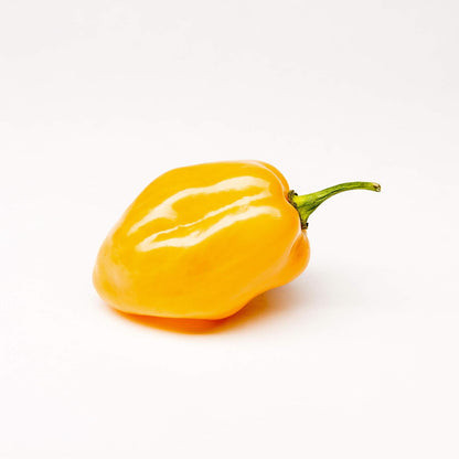 Akabanga Extra Hot Chilli Sauce 100 ml - view 4