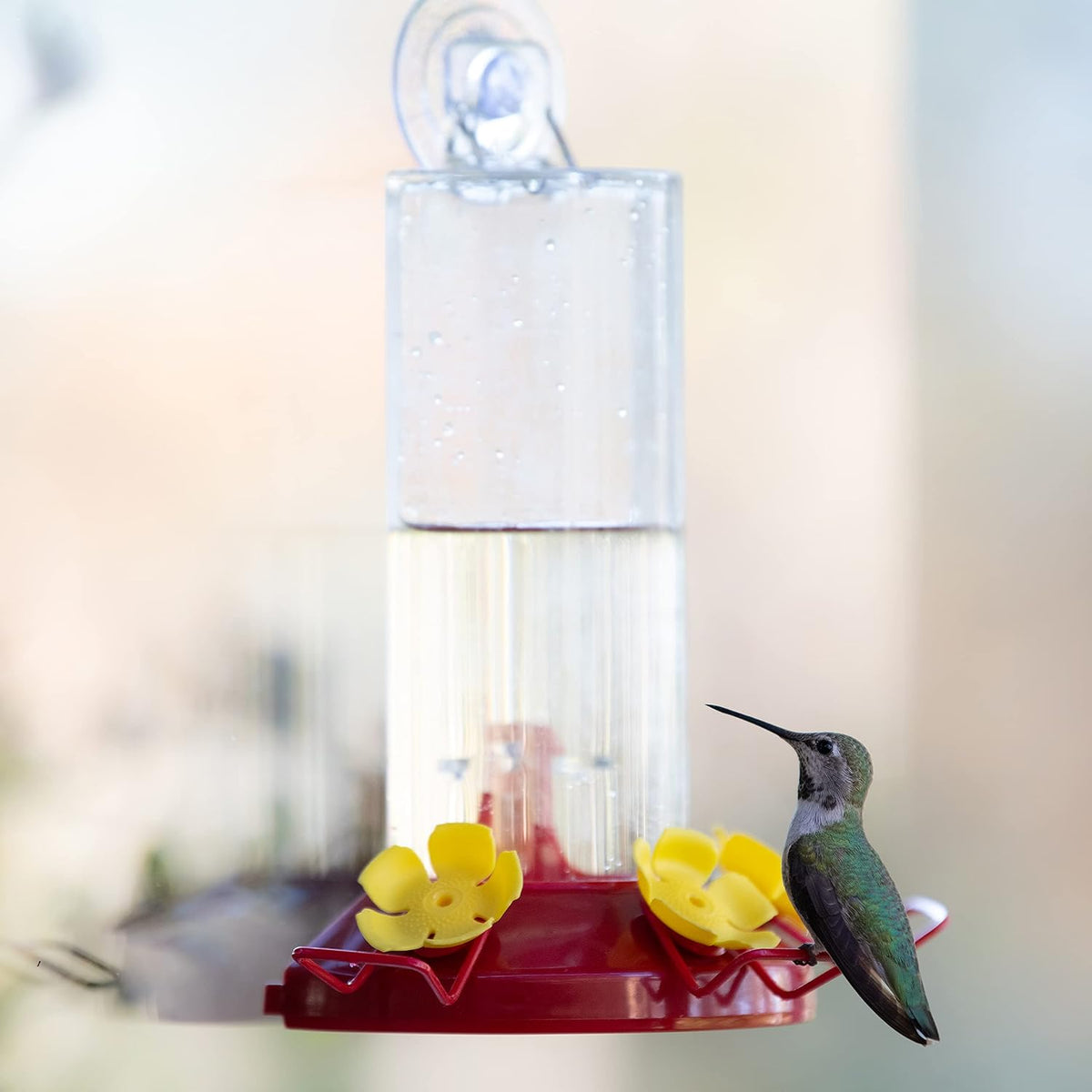 Perky-Pet Window Mount Hummingbird Feeder, 8 oz Nectar - view 2