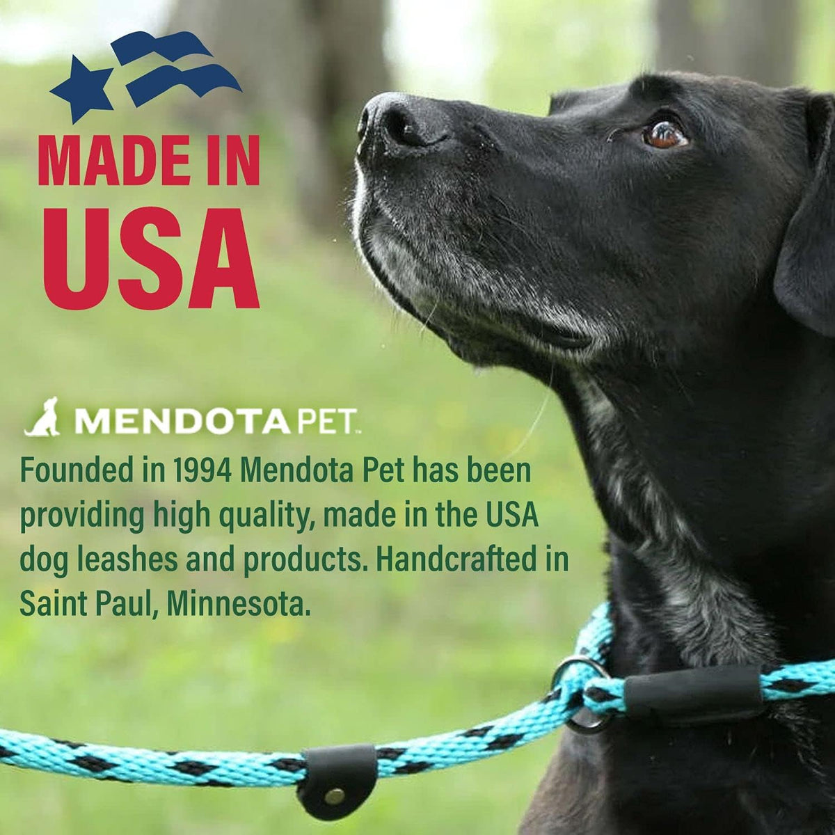 Mendota Pet Snap Leash British-Style Dog Lead Jade 1/2 in x 6 ft - view 3