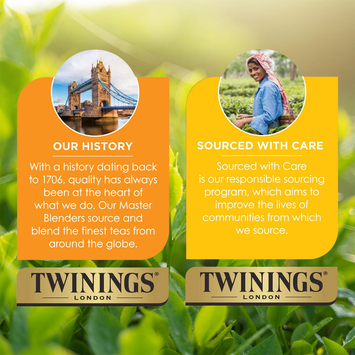 Twinings Orange and Cinnamon Spice Herbal Tea 20 Teabags - view 6