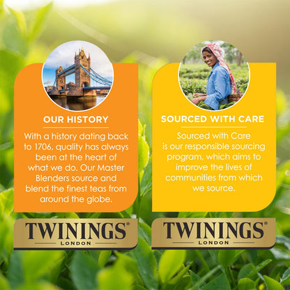 Twinings Orange and Cinnamon Spice Herbal Tea 20 Teabags - view 6