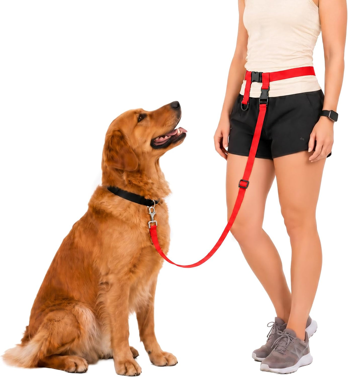 The Buddy System Adjustable Hands Free Dog Lead, Regular, Red — product view