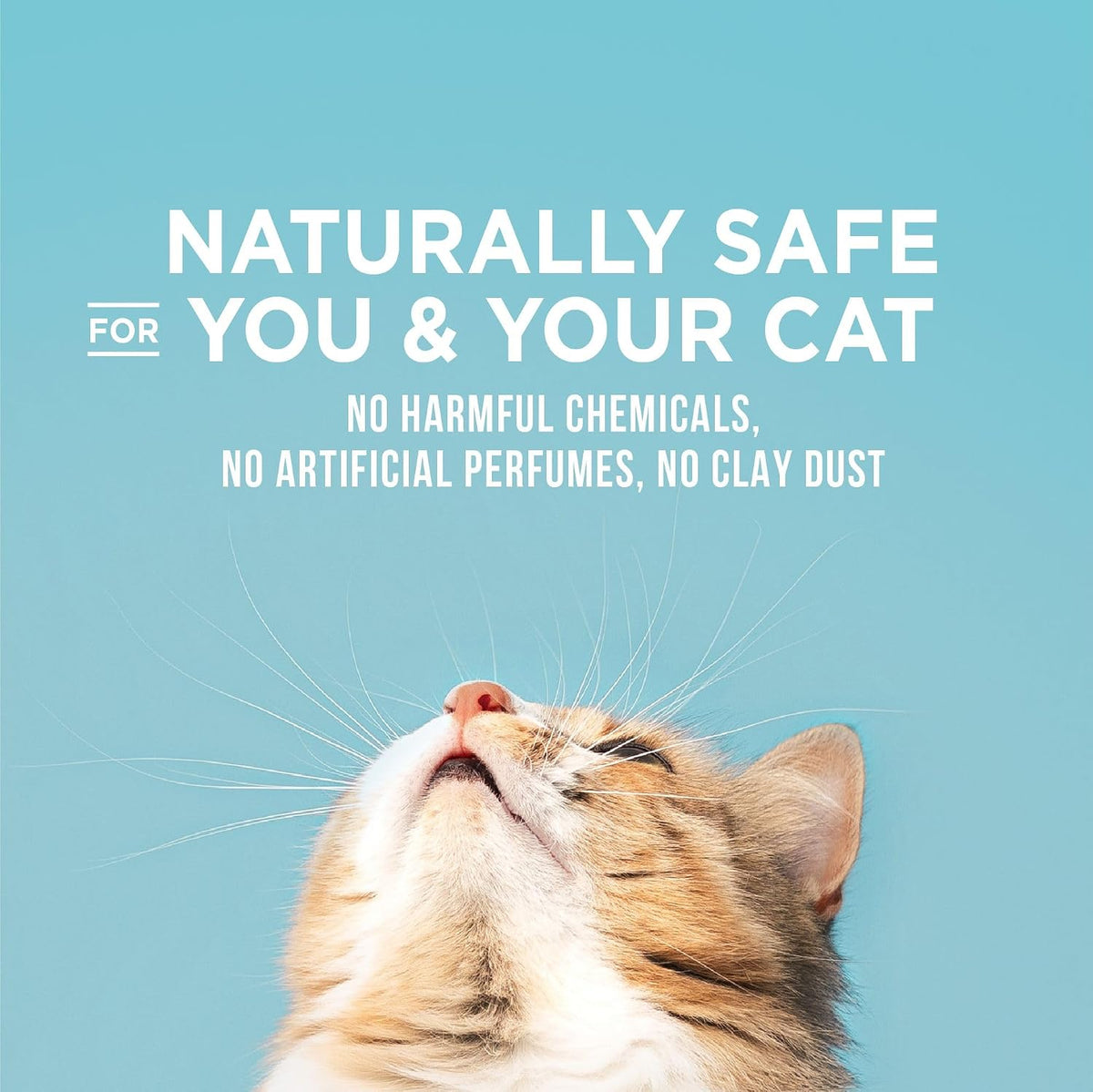 World's Best Cat Litter Poop Fighter Odour Defence, 15 lb - view 4