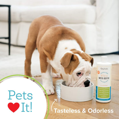 Oxyfresh Premium Pet Dental Care Water Additive for Cats and Dogs, No Brushing - view 2