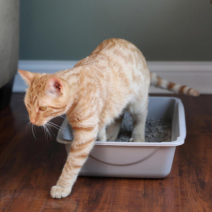 Petmate Basic Open Cat Litter Pan, Gray, Small - view 2