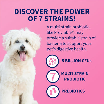 Nutramax Proviable Probiotics for Dogs and Cats, 30 Sprinkle Capsules - view 5