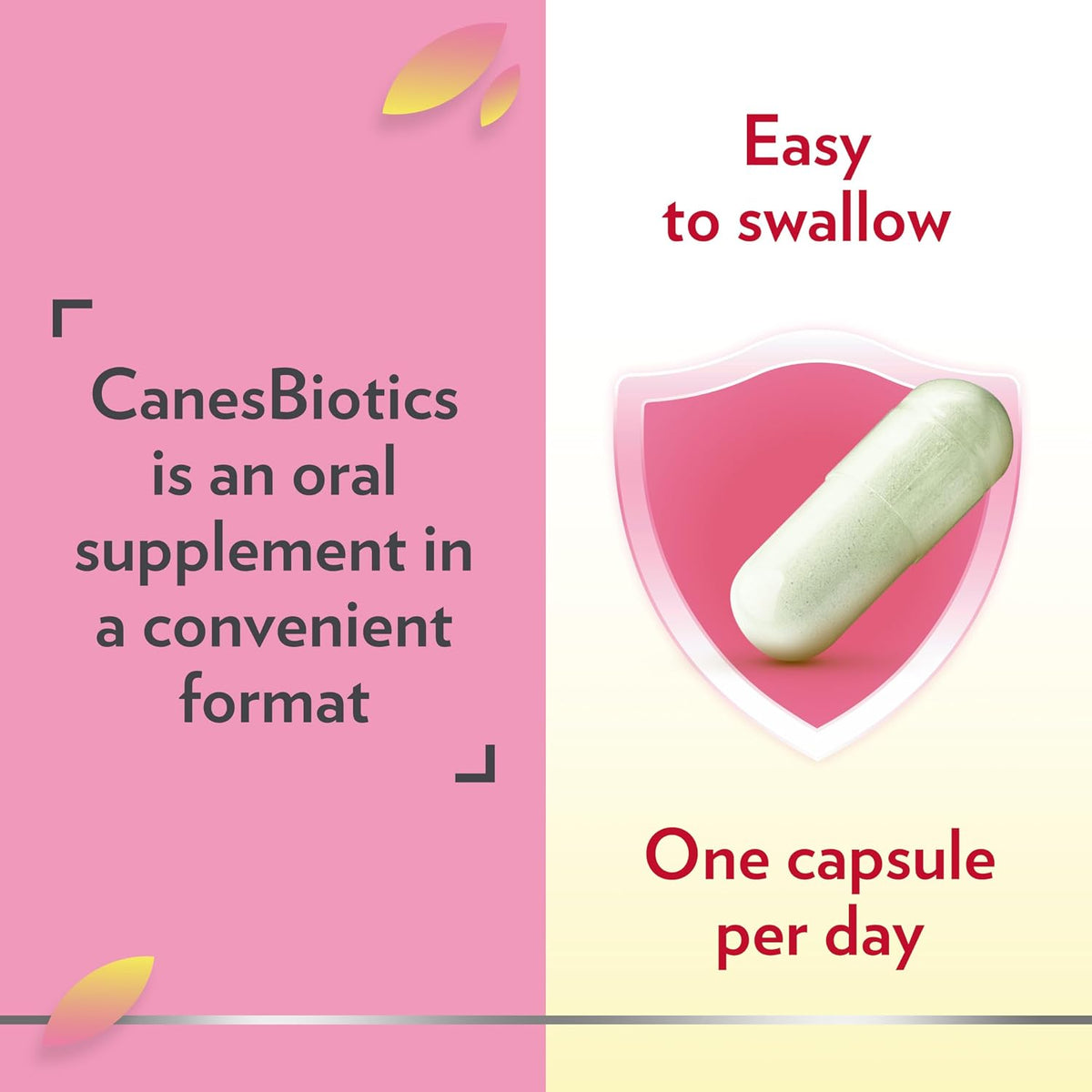 Canesten CanesBiotics Vaginal Flora Probiotic Capsules 30 Count - view 3