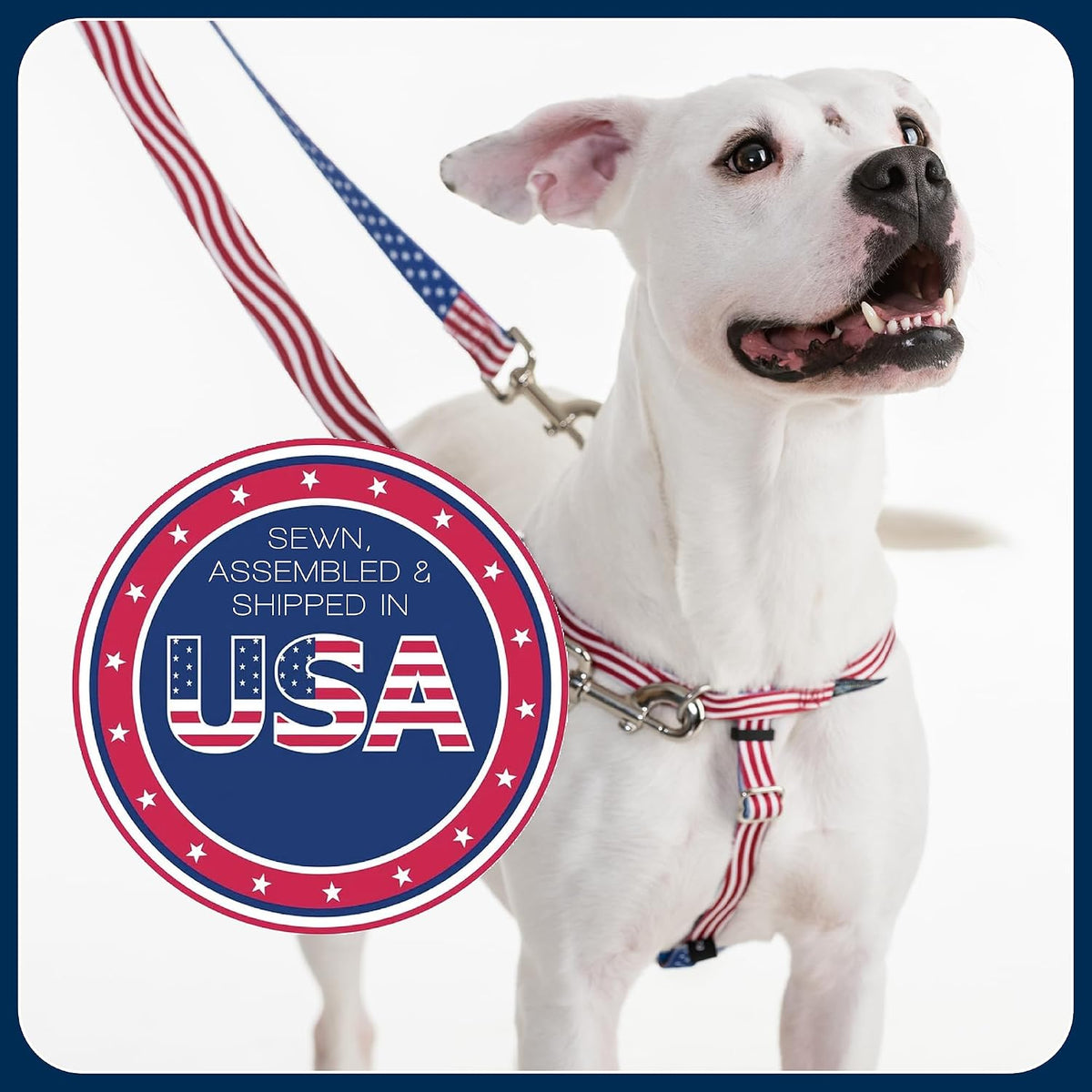 2 Hounds Design Freedom No Pull Dog Harness, 1 Inch Large, Teal - view 6
