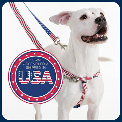 2 Hounds Design Freedom No Pull Dog Harness, 1 Inch Large, Teal - view 6