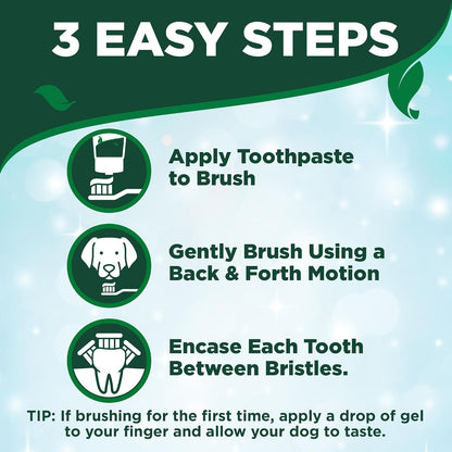Vet's Best Dog Toothpaste and Toothbrush Dental Care Kit, 3.5 oz - view 4