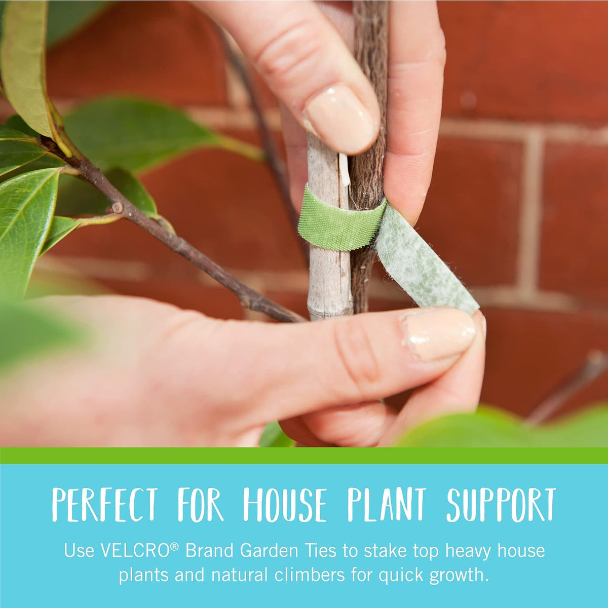 VELCRO Brand Adjustable Plant Ties Green Garden Tape, 75 ft x 1/2 in - view 5