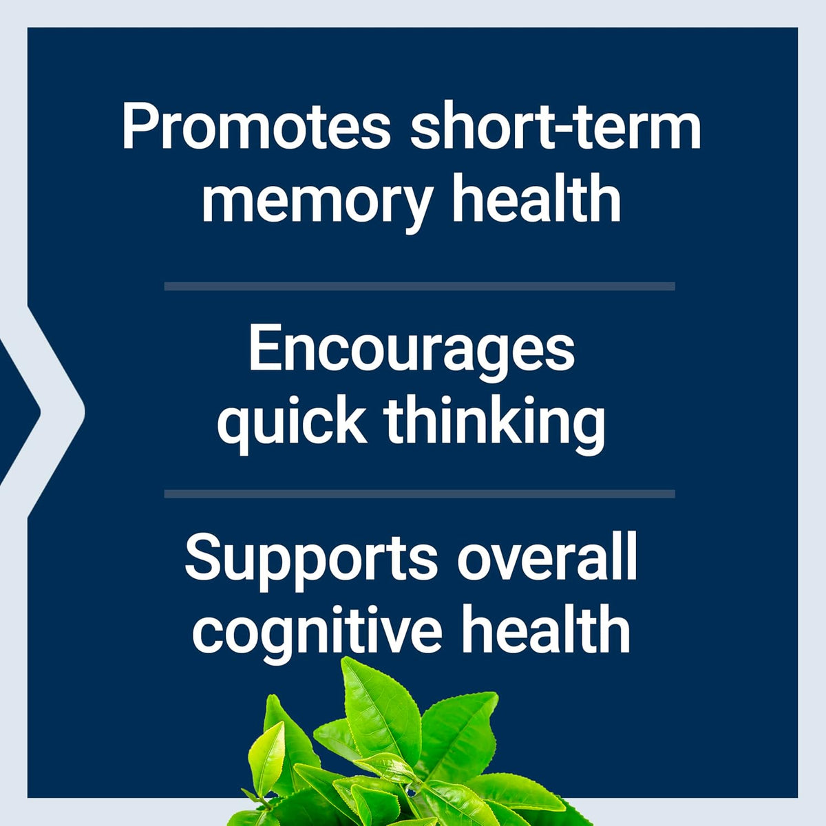 Life Extension Neuro-Mag Magnesium L-Threonate, 90 Vegetarian Capsules - view 4