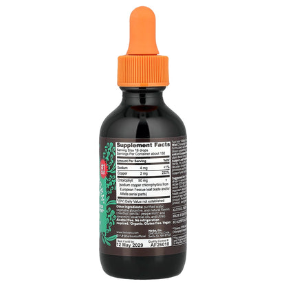 Herbs Etc. ChlorOxygen Chlorophyll, Mint, Alcohol Free, 2 fl oz (59 ml) - view 2