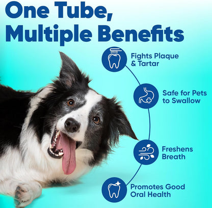 Virbac C.E.T. Enzymatic Toothpaste for Dogs and Cats, Malt Flavour, 2.5 oz - view 3