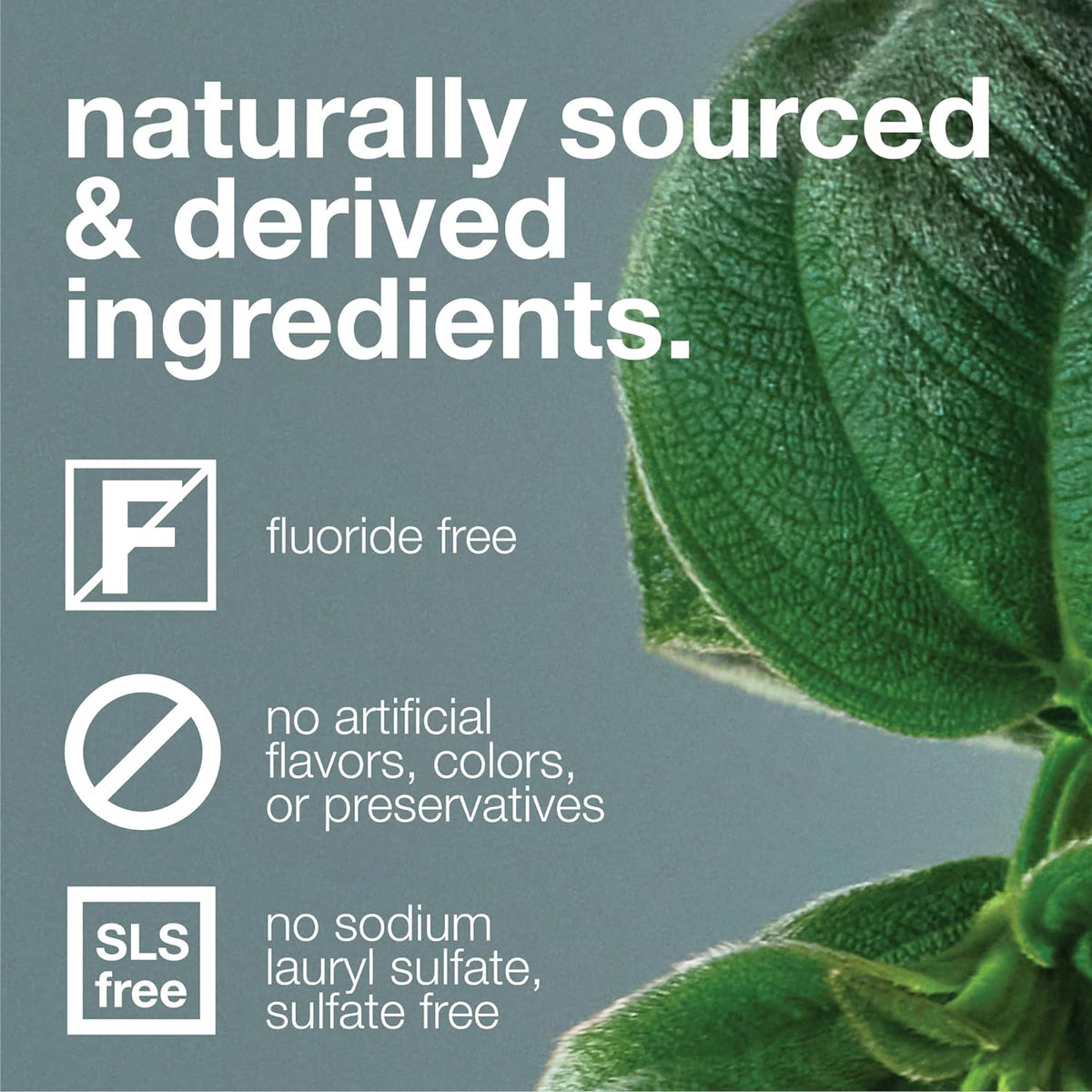 Davids Natural Spearmint Whitening Toothpaste, Fluoride-Free 5.25 oz Metal Tube - view 2