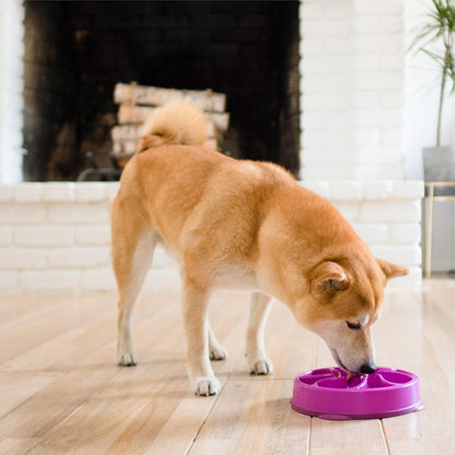 Outward Hound Fun Feeder Slo Bowl Dog Slow Feeder, Flower, Purple, 8.5 Inch - view 6