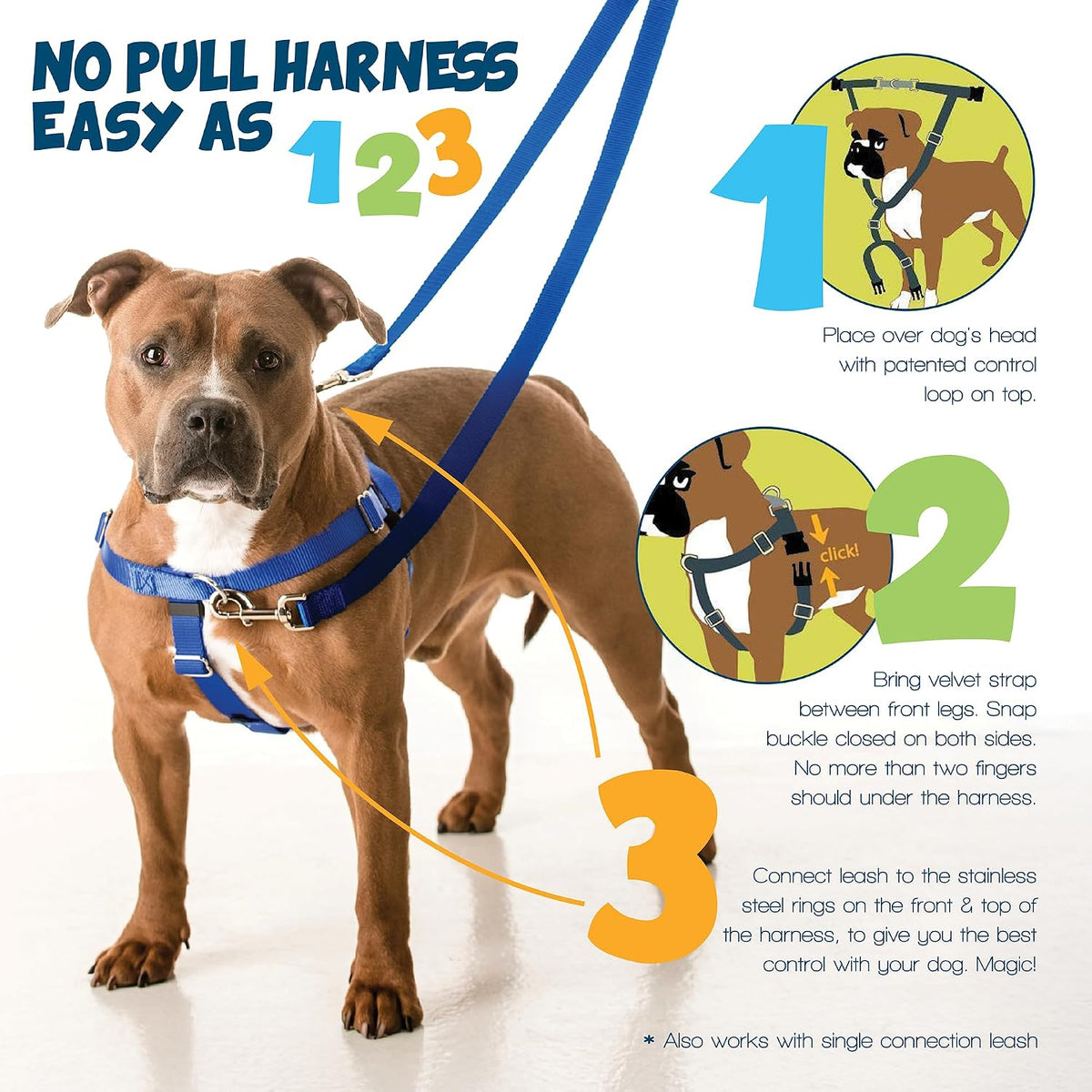 2 Hounds Design Freedom No Pull Dog Harness, 1 Inch Large, Teal - view 3