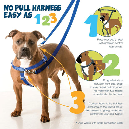 2 Hounds Design Freedom No Pull Dog Harness, 1 Inch Large, Teal - view 3