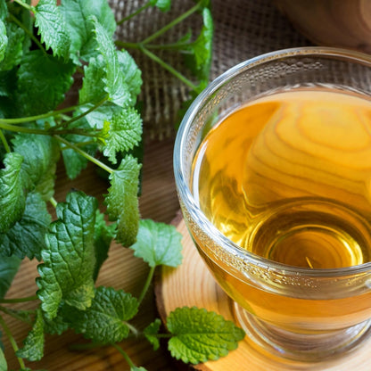 Alpi Nature Organic Lemon Balm Tea 125 g - view 4