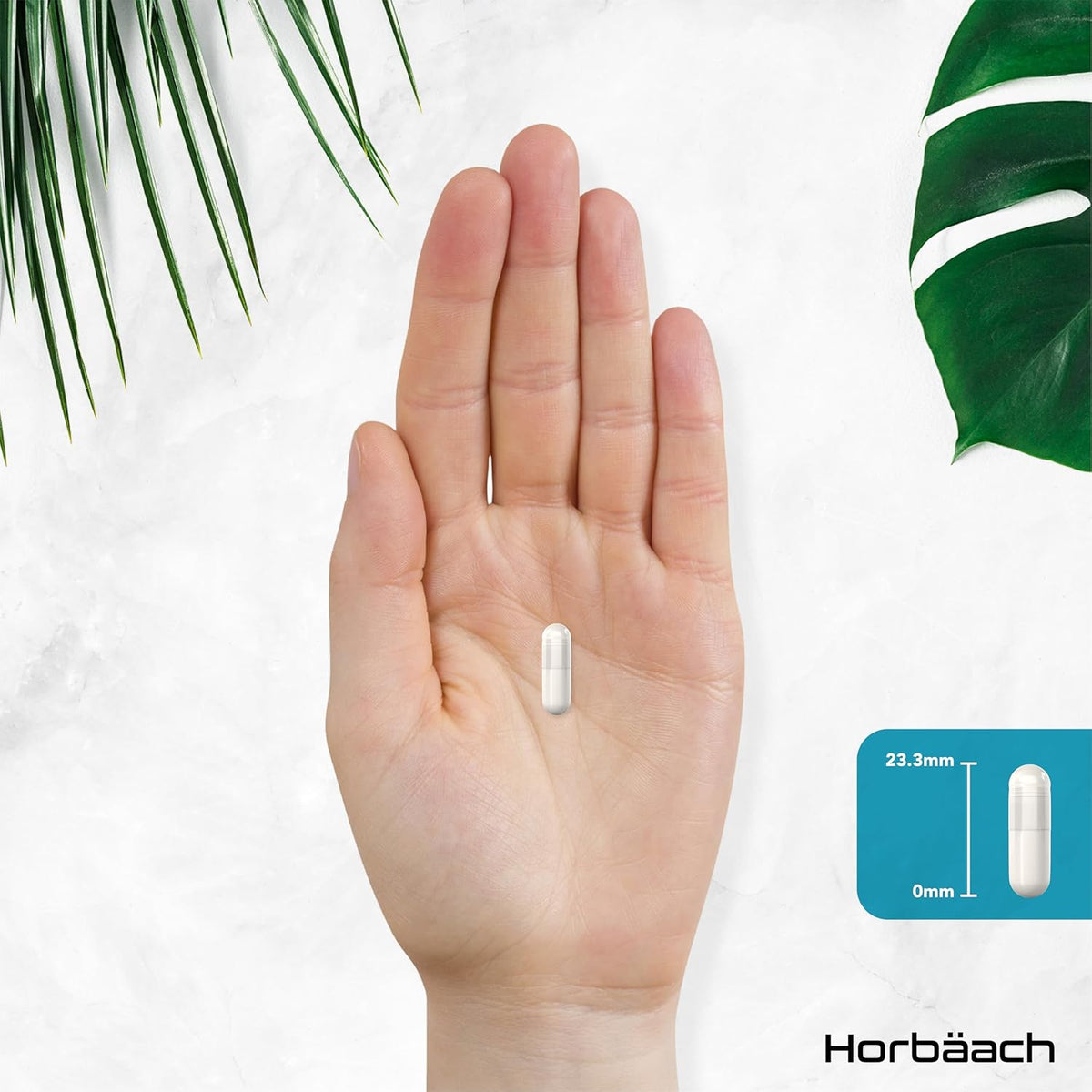 Horbäach L-Arginine and L-Citrulline 1200mg Capsules - 180 Count - view 5