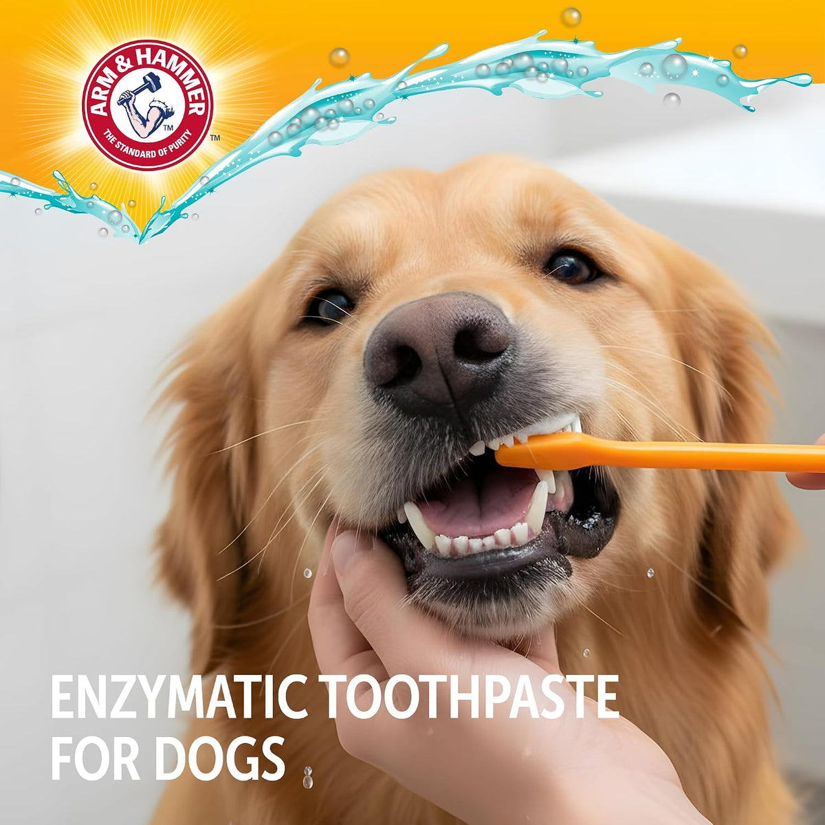 Arm & Hammer Complete Care Enzymatic Dog Toothpaste, Chicken, 6.2 oz - view 4