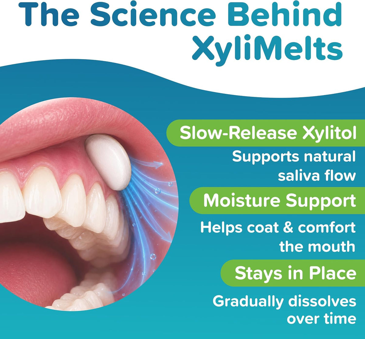 XyliMelts Dry Mouth Relief Discs, Mild Mint, 40 Count - view 4