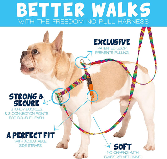 2 Hounds Design Freedom No Pull Dog Harness, 1 Inch Large, Teal - view 2