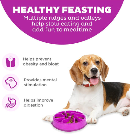 Outward Hound Fun Feeder Slo Bowl Dog Slow Feeder, Flower, Purple, 8.5 Inch - view 2