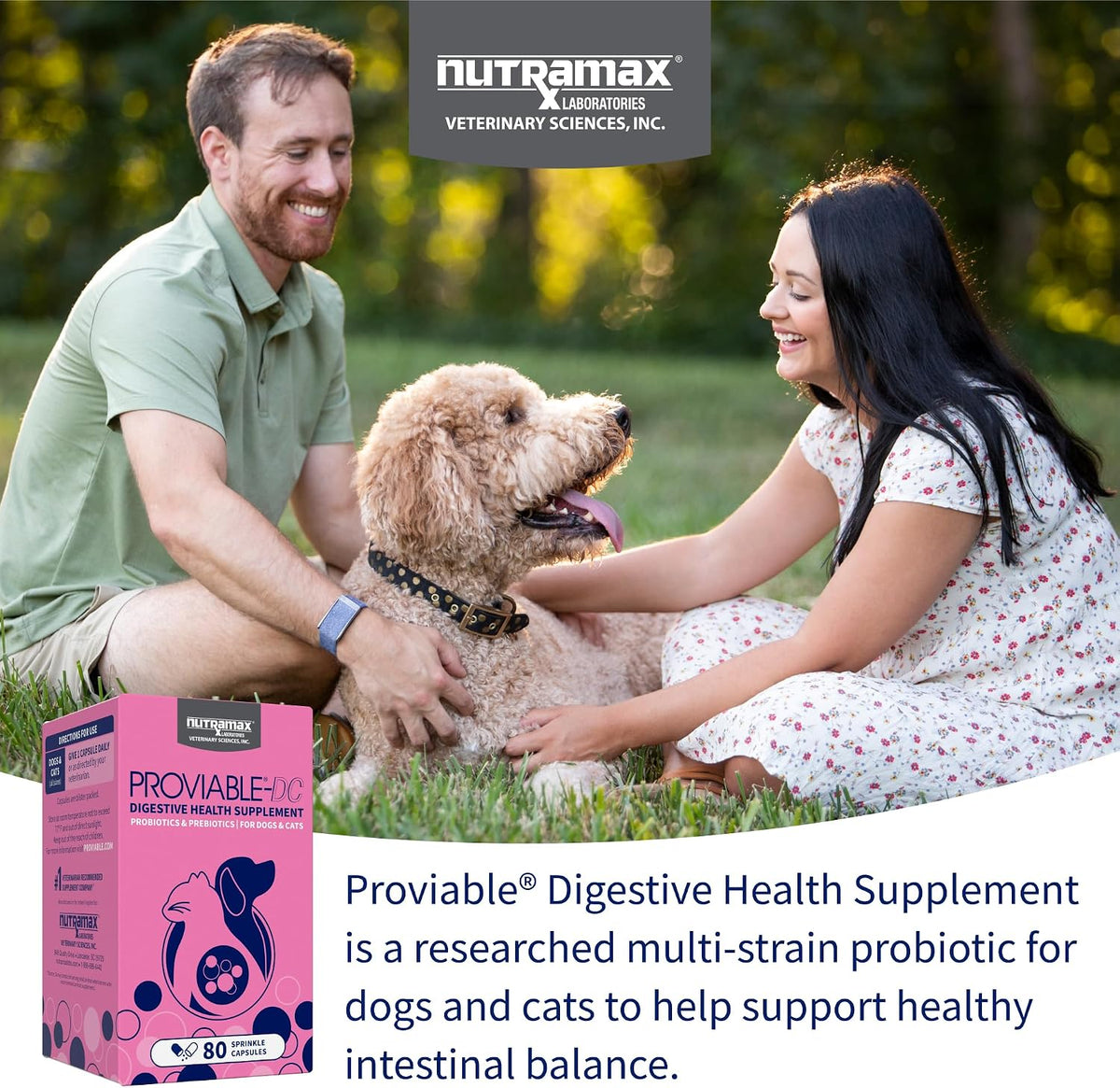 Nutramax Proviable Probiotics + Prebiotics for Dogs & Cats, 80 Capsules - view 3