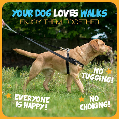 2 Hounds Design Freedom No Pull Dog Harness, 1 Inch Large, Teal - view 5