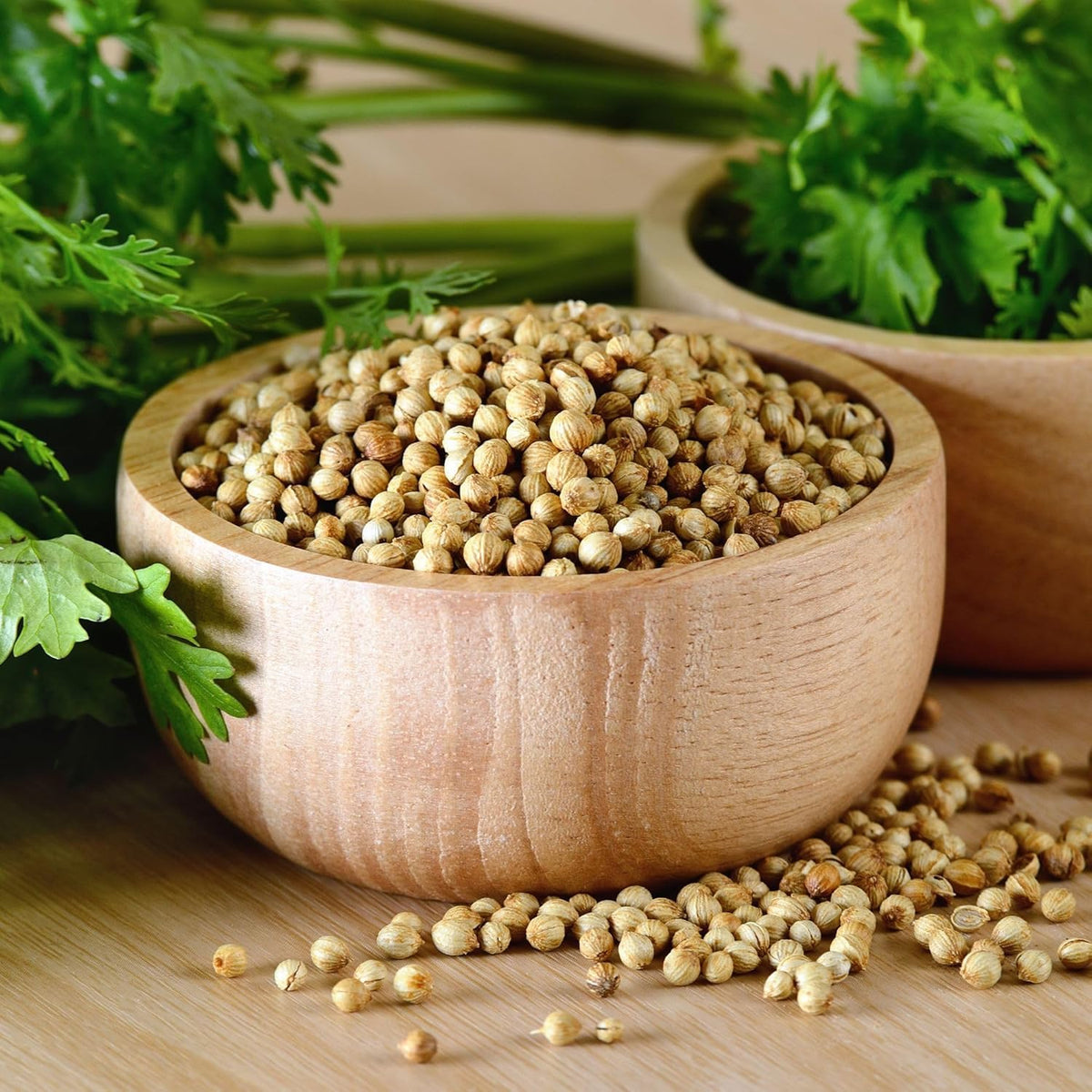 Alpi Nature Organic Coriander Seeds 250 g - view 4
