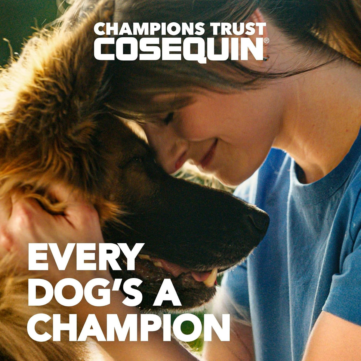 Nutramax Cosequin Joint Supplement for Dogs, 132 Chewable Tablets - view 2
