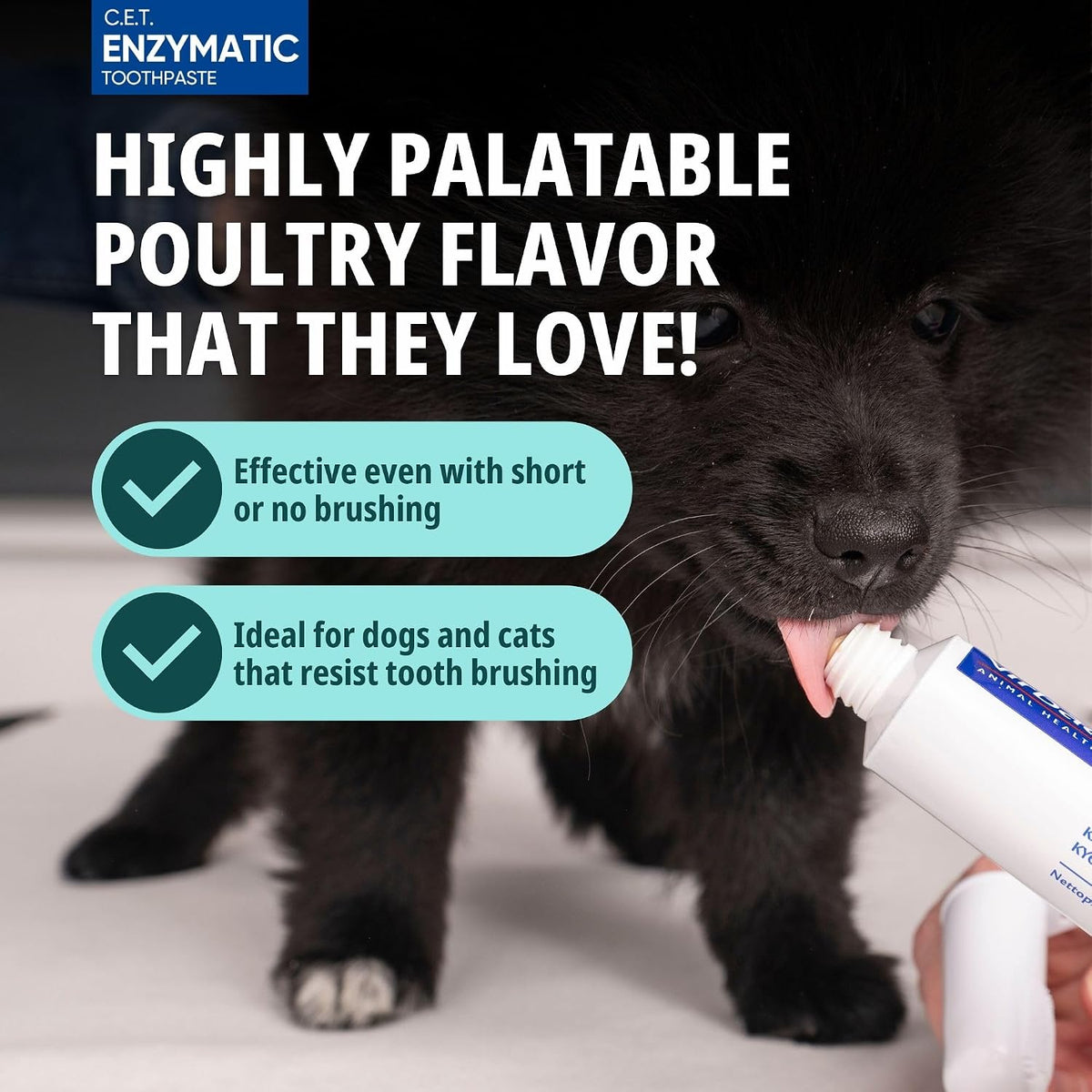 Virbac C.E.T. Oral Hygiene Kit for Dogs and Cats, Poultry Flavour - view 4