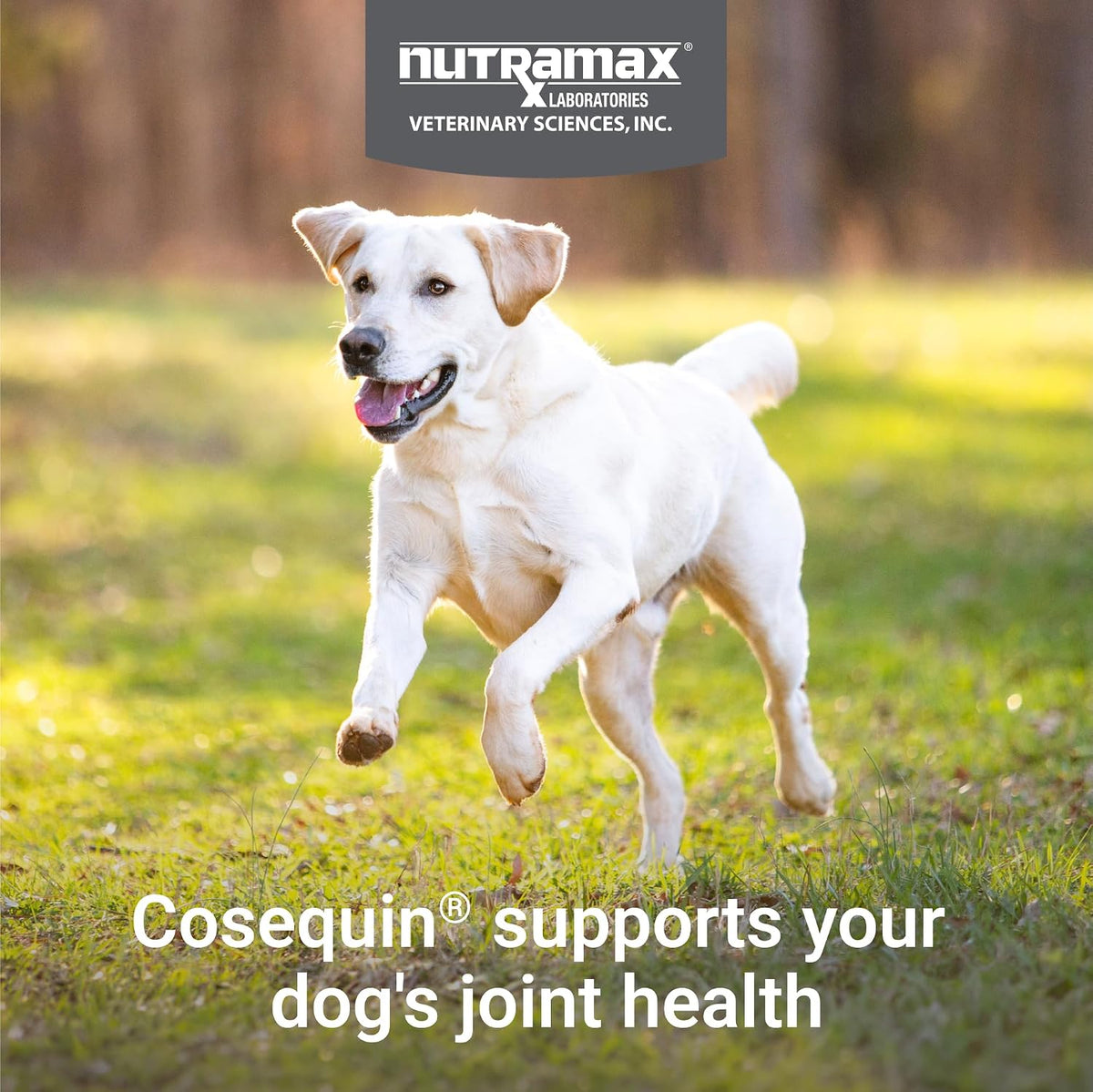 Nutramax Cosequin Joint Supplement for Dogs, 132 Chewable Tablets - view 3